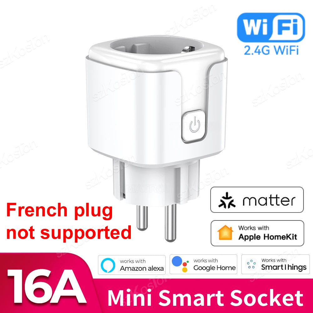 16A Matter EU WiFi Smart Socket Home Appliance Mini Smart Plug Adapter APP Control Timer Works with HomeKit Siri Alexa Google